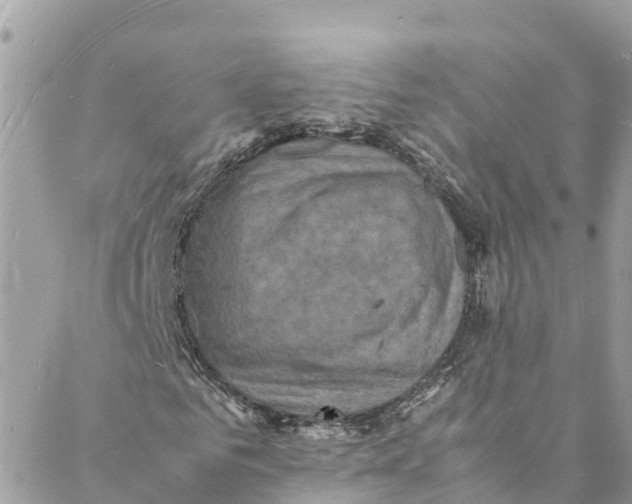 X0000088030961200706011345