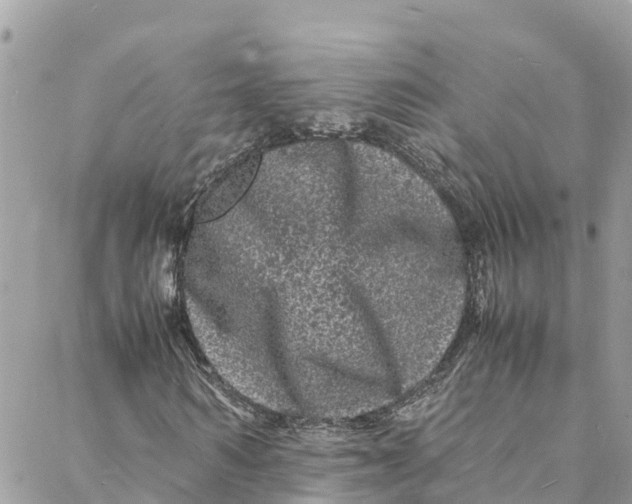 X0000088030962200706011345