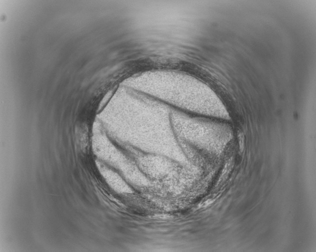 X0000088030963200706011345