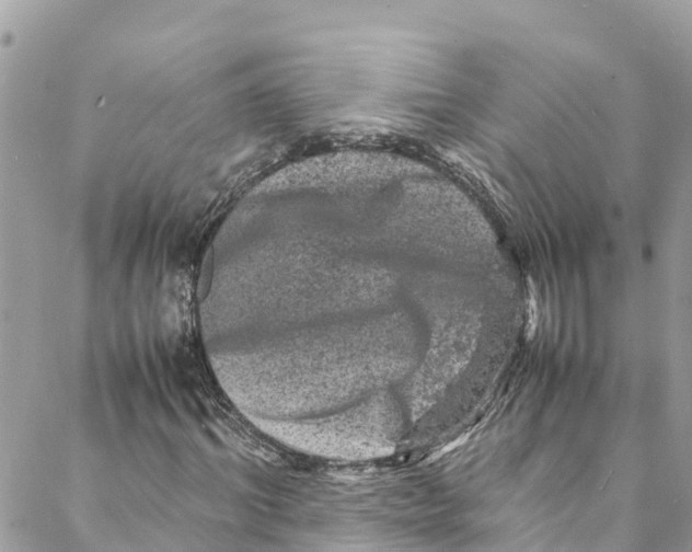 X0000088030964200706011345