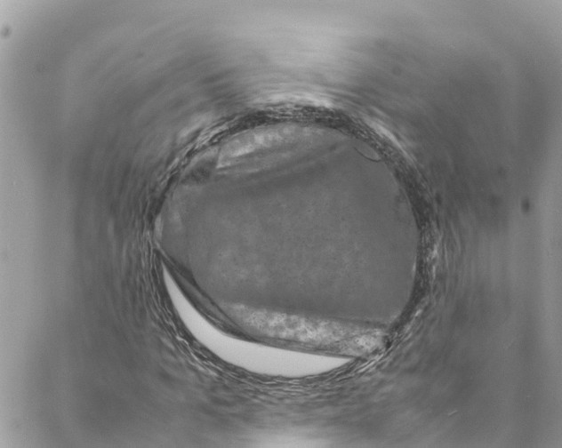 X0000088030965200706011345