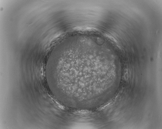 X0000088030966200706011345