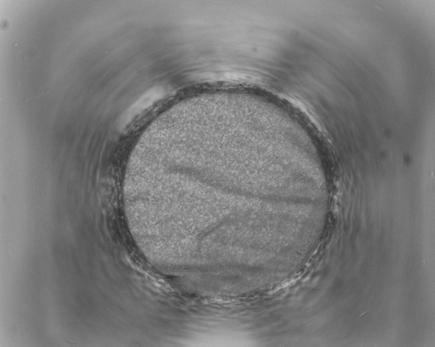 X0000088030967200706011345