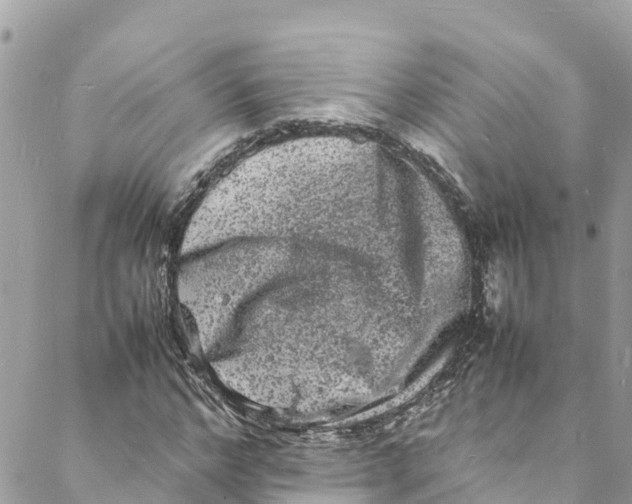 X0000088030968200706011345