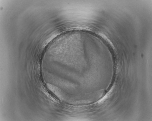 X0000088030969200706011345