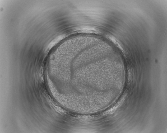 X0000088030970200706011345