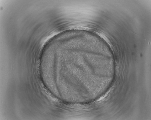 X0000088030971200706011345