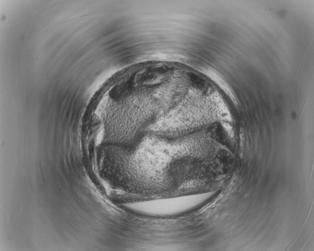 X0000088030972200706011345