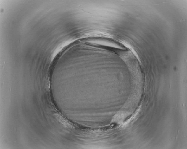 X0000088030973200706011345