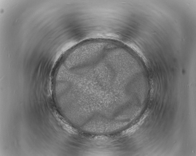 X0000088030974200706011345