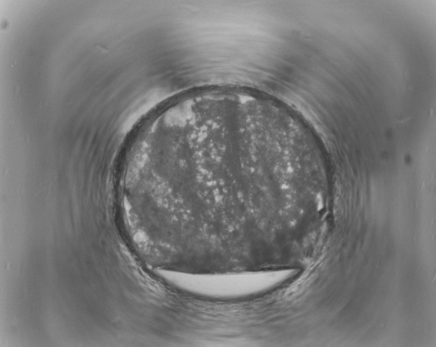 X0000088030975200706011345