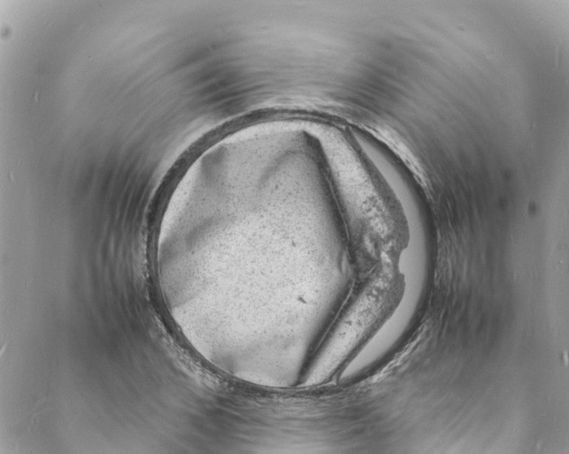 X0000088030976200706011345