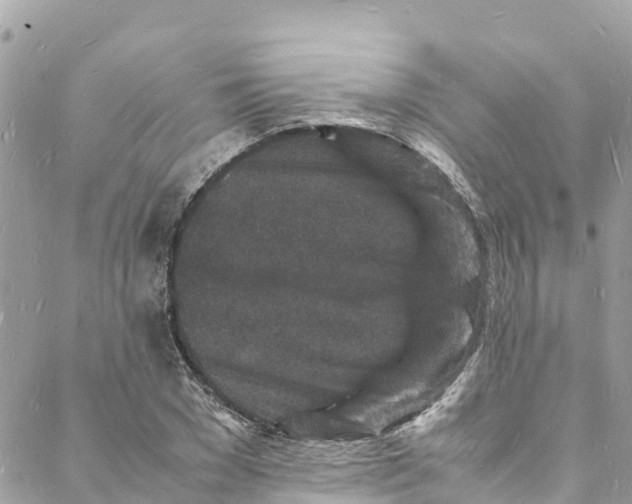 X0000088030977200706011345