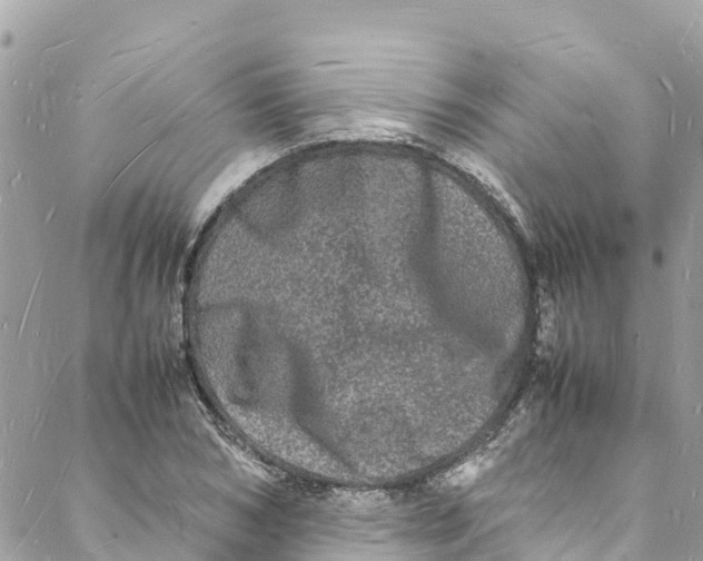 X0000088030978200706011345