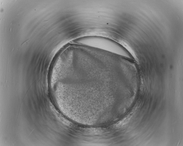 X0000088030980200706011345