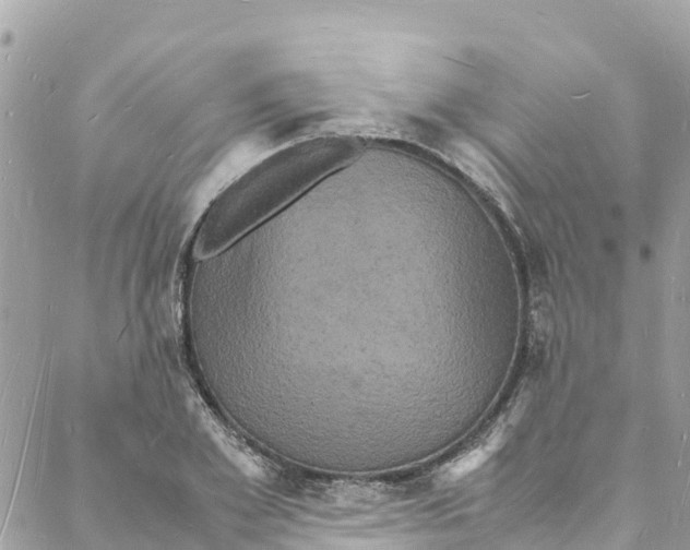 X0000088030981200706011345