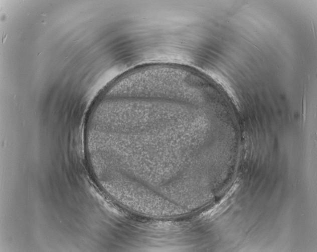 X0000088030982200706011345