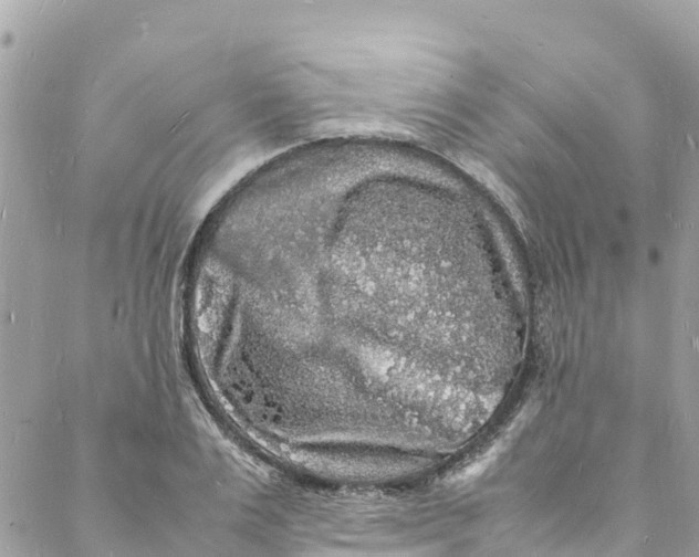 X0000088030983200706011345