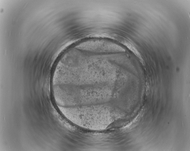 X0000088030984200706011345