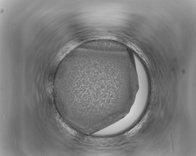 X0000088030985200706011345