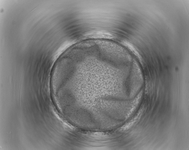 X0000088030986200706011345