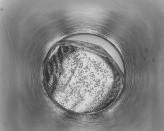 X0000088030987200706011345