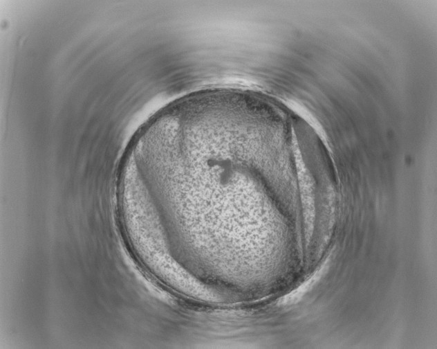 X0000088030989200706011345