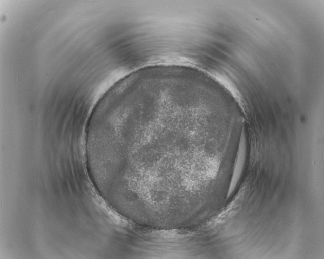 X0000088030990200706011345