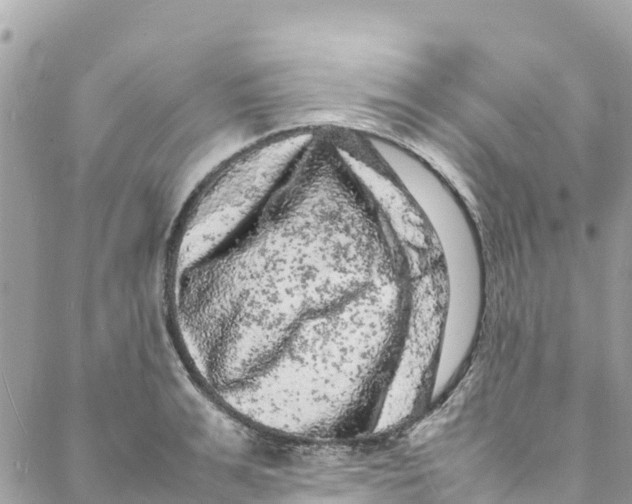 X0000088030991200706011345