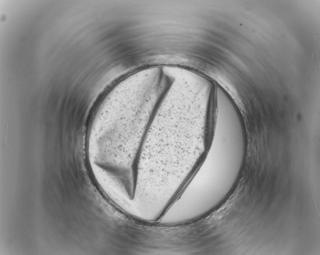 X0000088030992200706011345