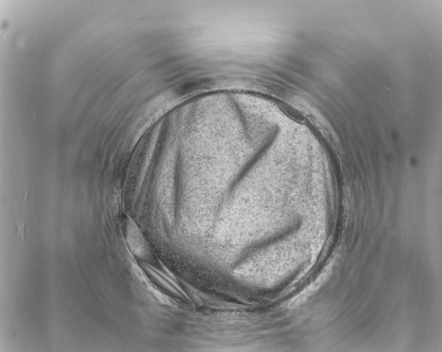 X0000088030993200706011345