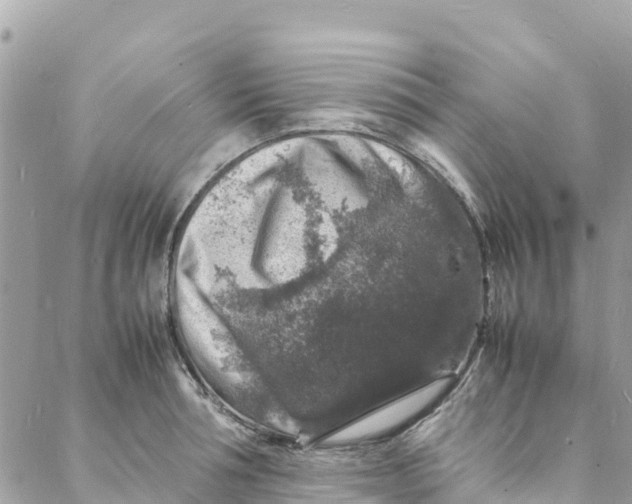 X0000088030994200706011345