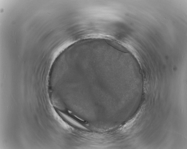 X0000088030995200706011345