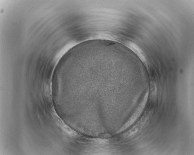 X0000088030996200706011345