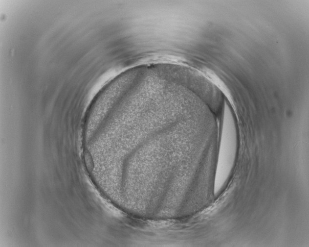 X0000088030997200706011345