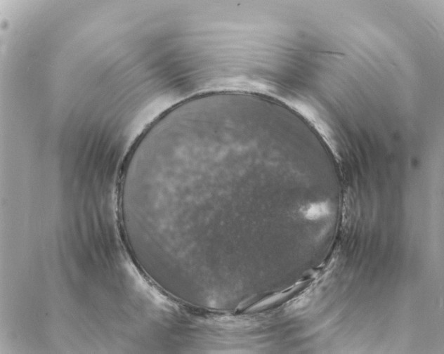 X0000088030998200706011345