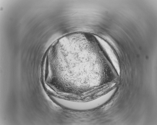 X0000088030999200706011345