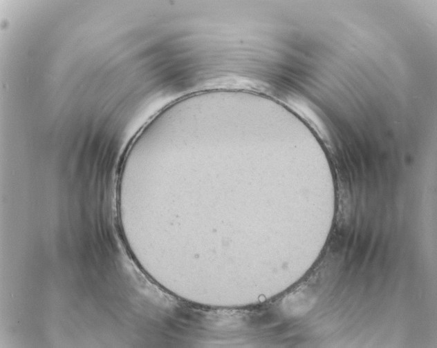 X0000088031000200706011345