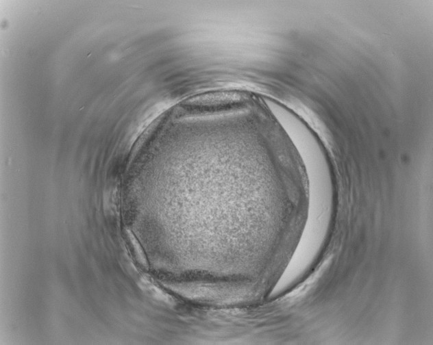 X0000088031001200706011345