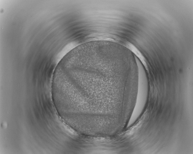 X0000088031002200706011345