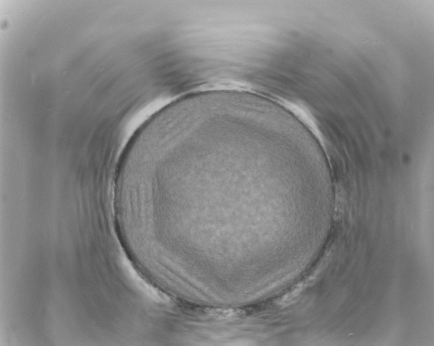 X0000088031003200706011345