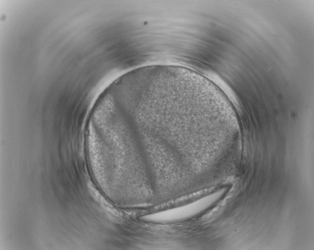 X0000088031004200706011345