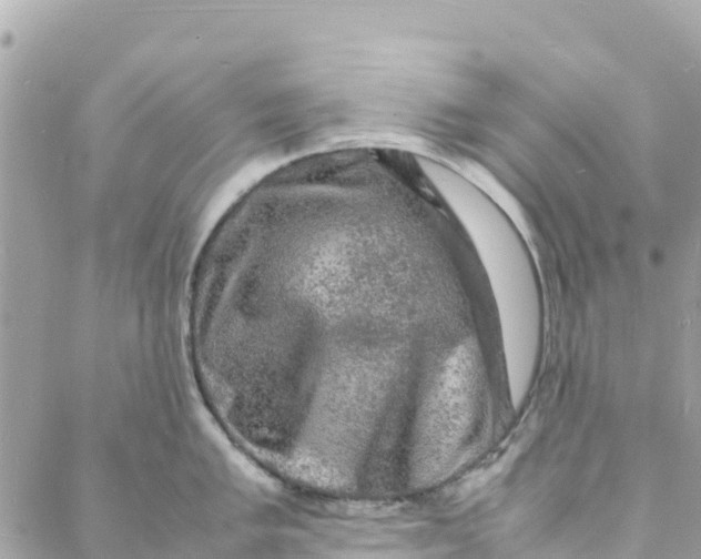 X0000088031005200706011345