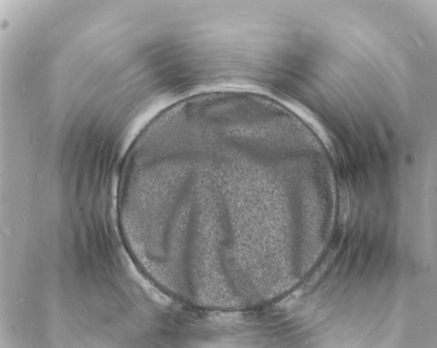 X0000088031006200706011345