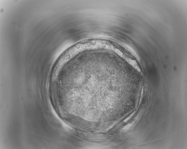 X0000088031007200706011345