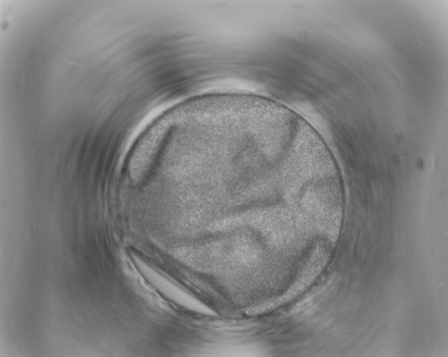 X0000088031008200706011345