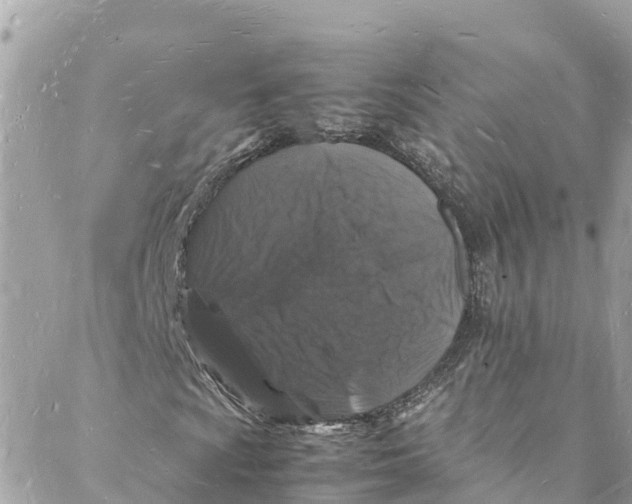 X0000088031009200706011344