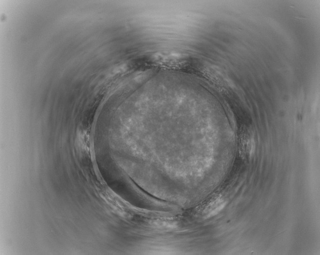 X0000088031010200706011344