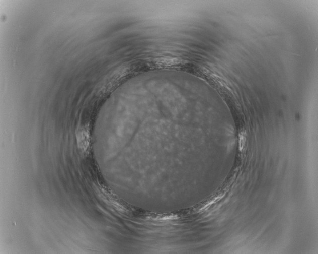 X0000088031011200706011344