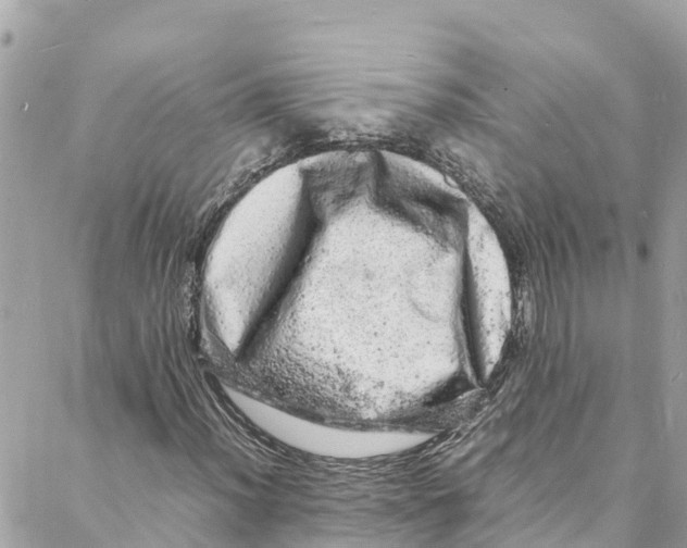 X0000088031012200706011344